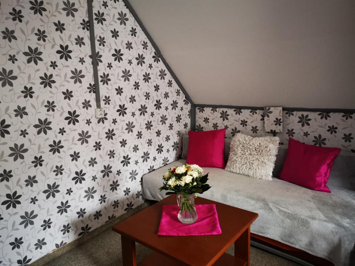 Penzion Tomy Na Plazi Hotel Frymburk Ngoại thất bức ảnh